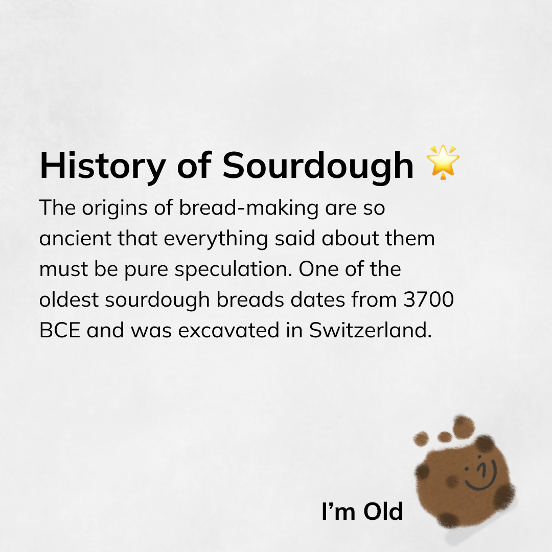 What-is-Sourdough-Instagram-I-1