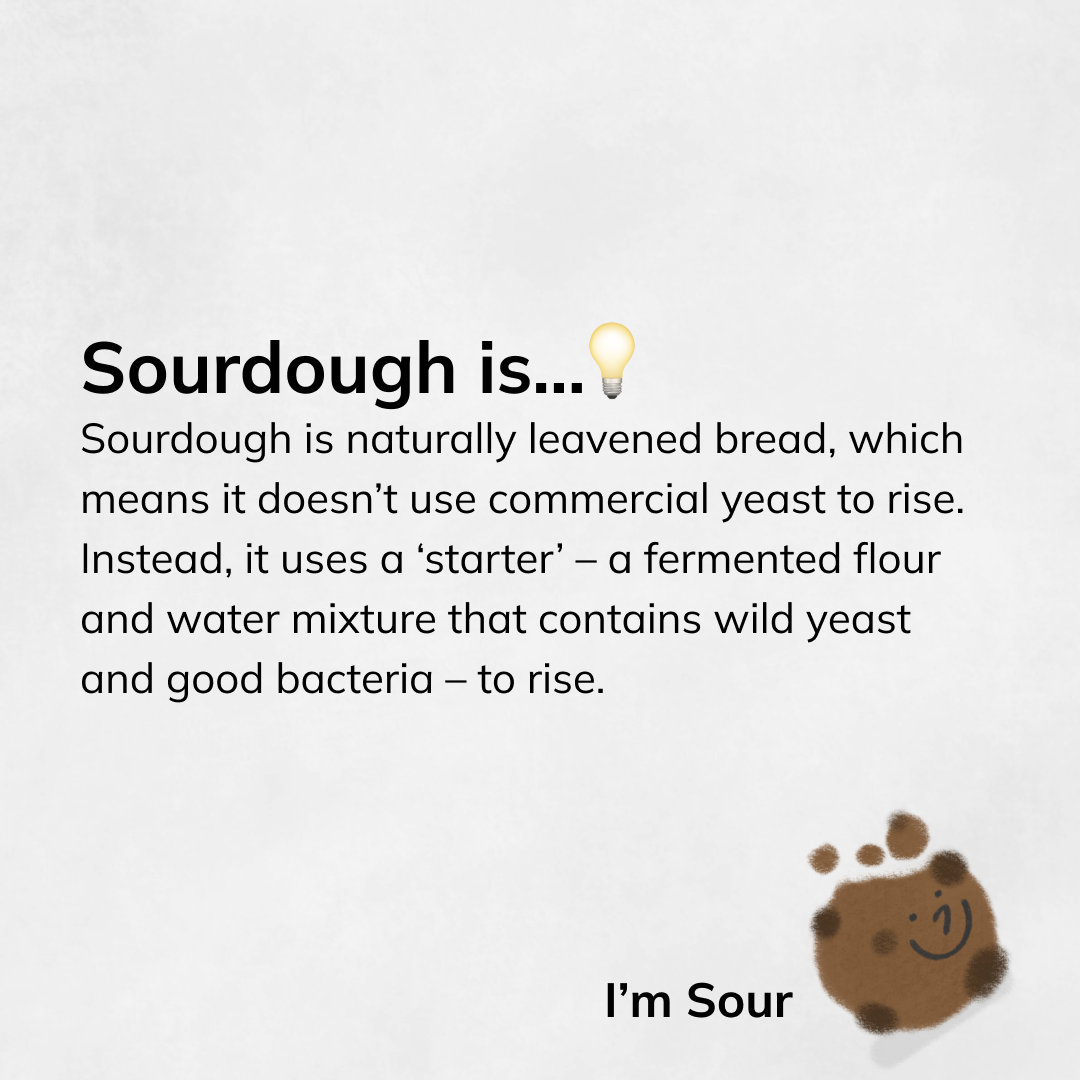 What-is-Sourdough-Instagram-I